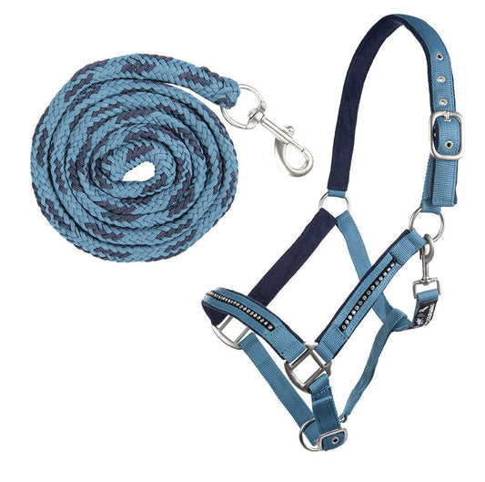 Halfter-Set mit Karabiner Crystal – weich unterlegt – Bild 2