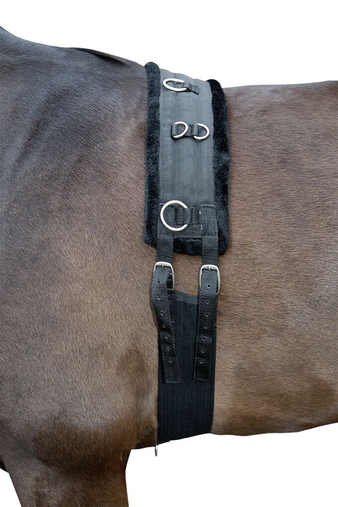 Longiergurt Teddy – für Shetty, Pony und Vollblut/Warmblut – Bild 2