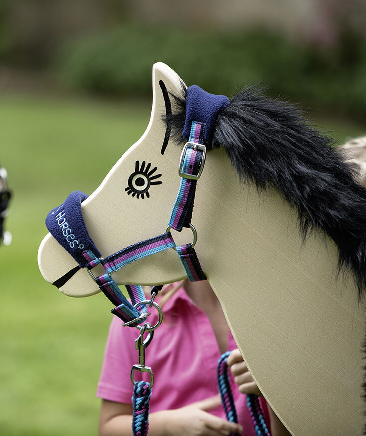 Halfter Funny Horses – Nasen- und Stirnriemen weich unterlegt – Bild 3