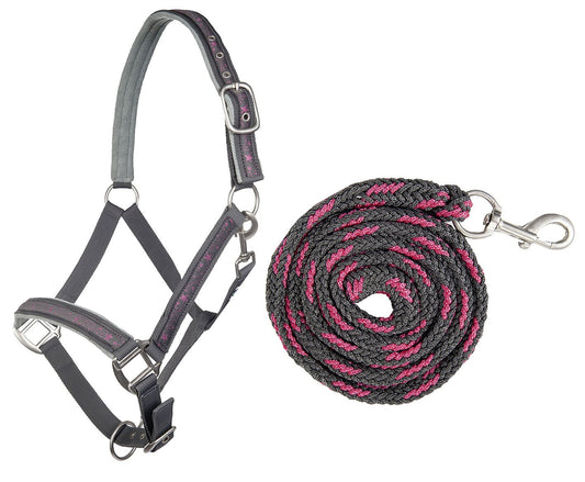Halfter mit Strick 180cm und Karabiner Stars – Nasen- und Stirnriemen weich unterlegt – Bild 3