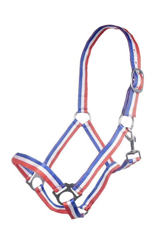 10148 – Bild 1