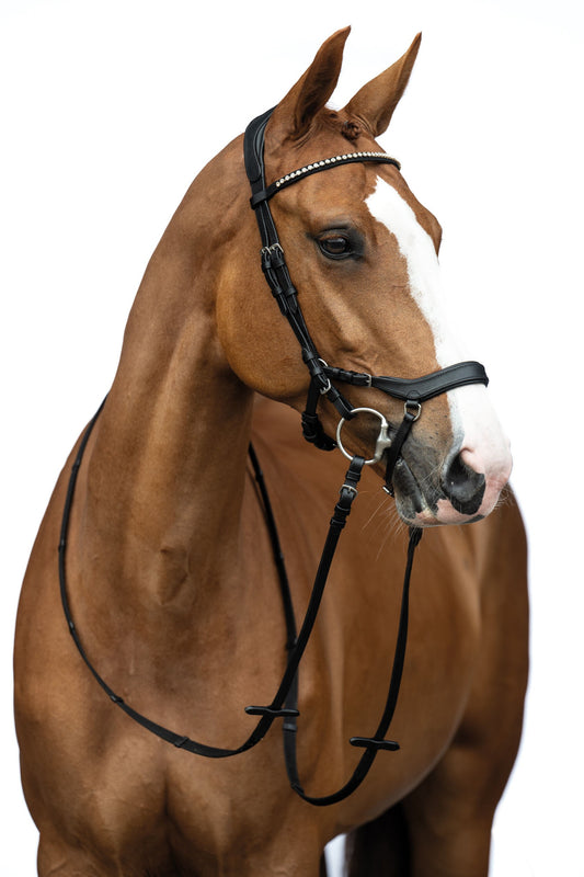 Trense Pro Anatomic – vermeidet den Druck auf sensible Stellen des Pferdekopfes – Bild 2