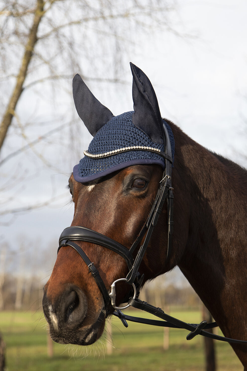 Fliegenhaube Allround – zum Schutz des Pferdes vor Fliegen und Insekten – Bild 7
