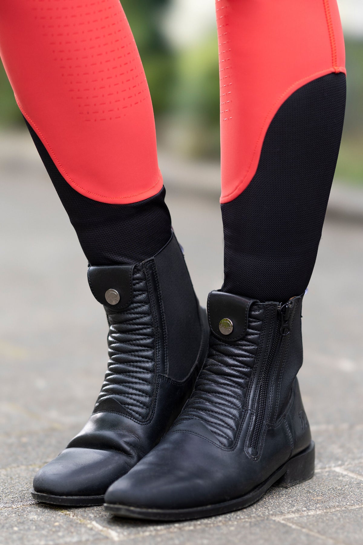 Reitleggings Aruba – Silikon-Vollbesatz – Bild 24