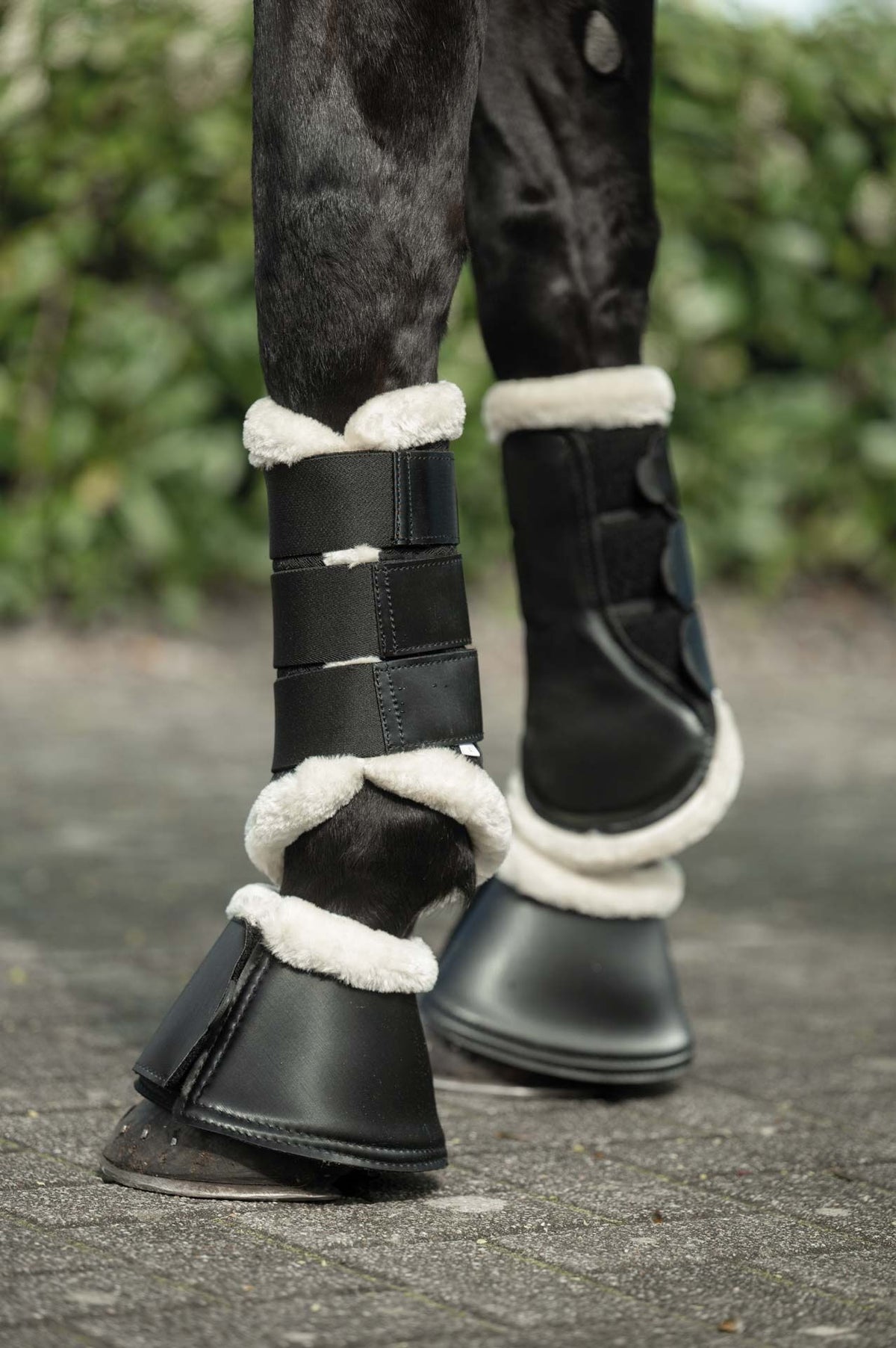 Hufglocken Shiny Fur – mit synthetischem Lammfellrand – Bild 7