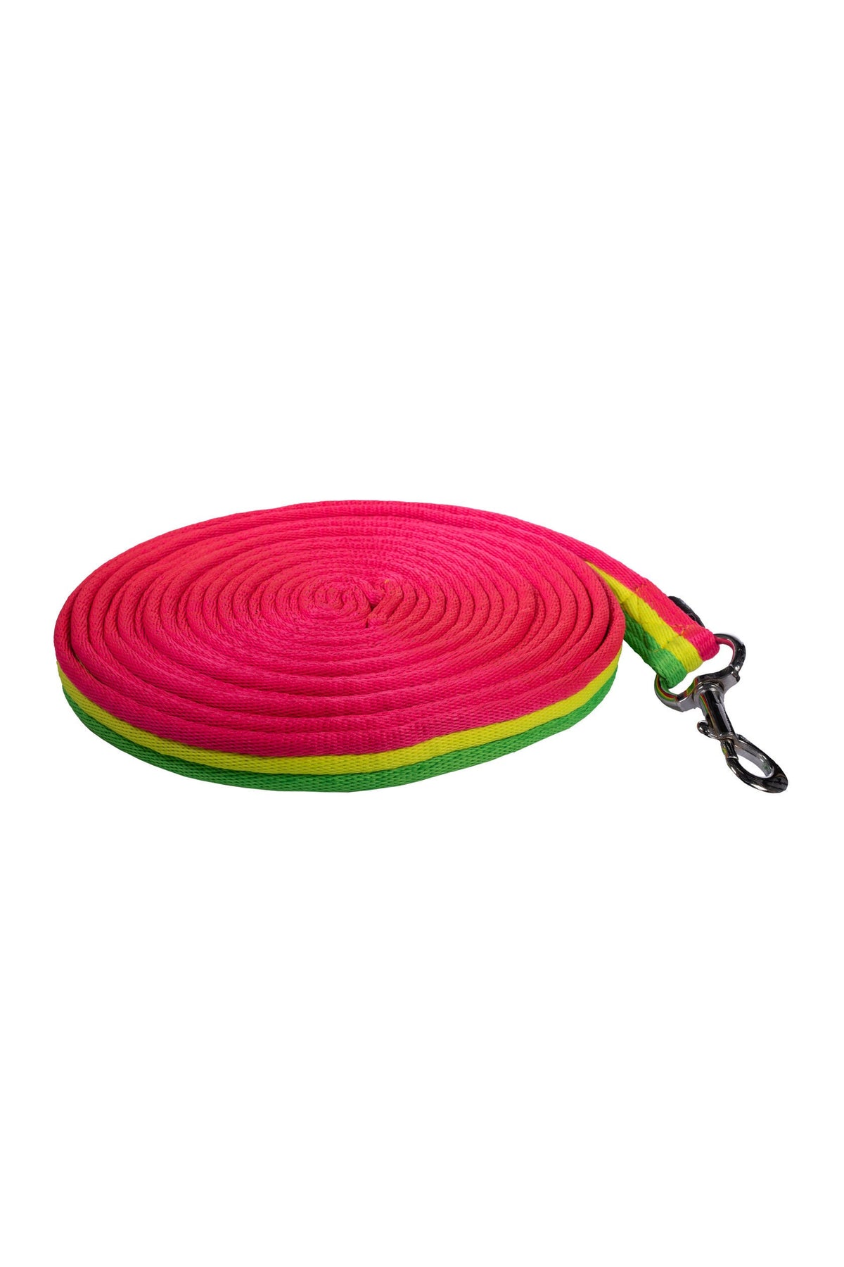 Longe Rainbow – mit Karabinerhaken – Bild 1