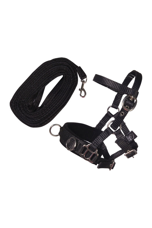 Longierset Hobby Horsing – zum realistischen Spielen mit dem Spielzeugpferd – Bild 1