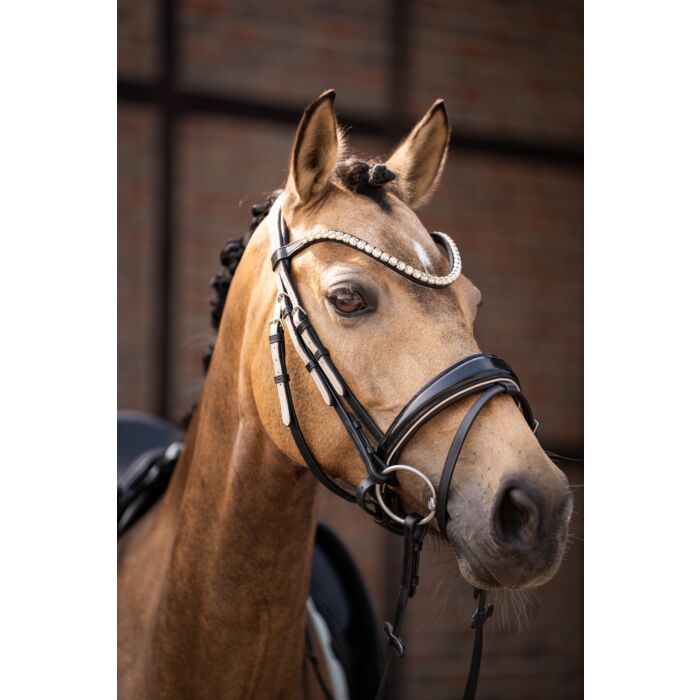 Trense Limone Elegant – schwedisches Reithalfter – Bild 8