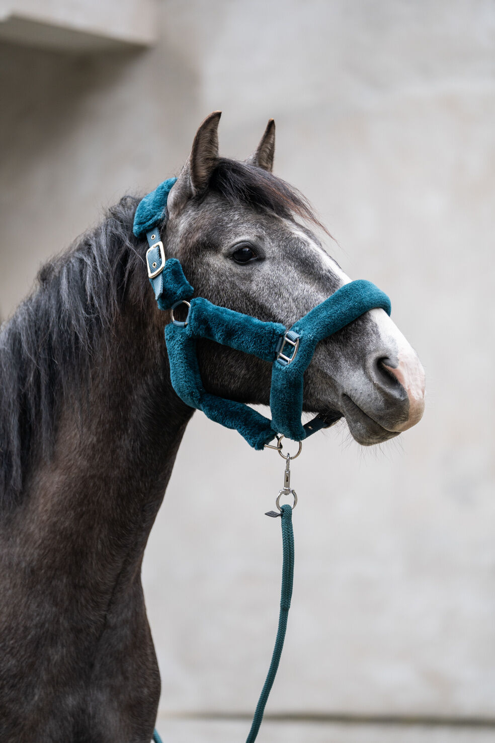 Halfter Comfort – kuscheliges Teddyfell – Bild 13
