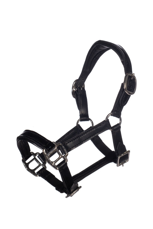 Lederhalfter Lack Hobby Horsing – zum realistischen Spielen mit dem Spielzeugpferd – Bild 1