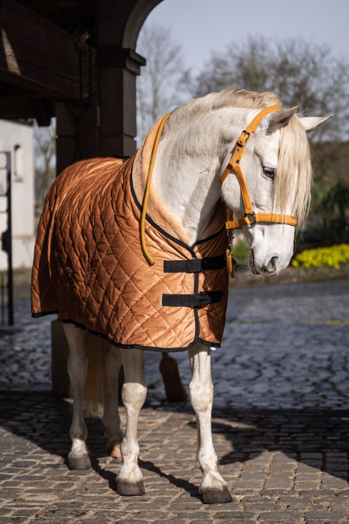 Stalldecke Montalcino – atmungsaktiv – Bild 3