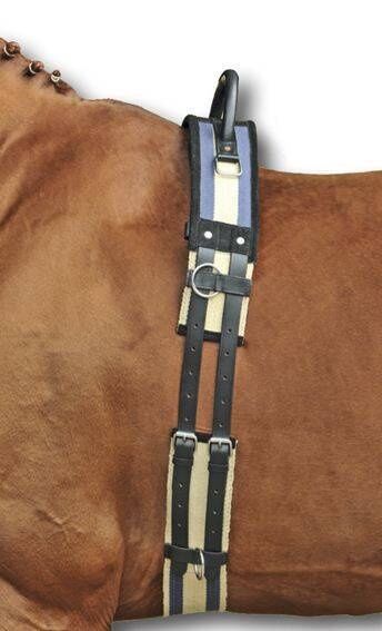 Longiergurt mit Haltegriff 1795 – Rollenschnallen – Bild 1