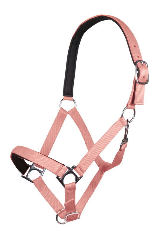 Halfter Stars Softice – weich unterlegt – Bild 2