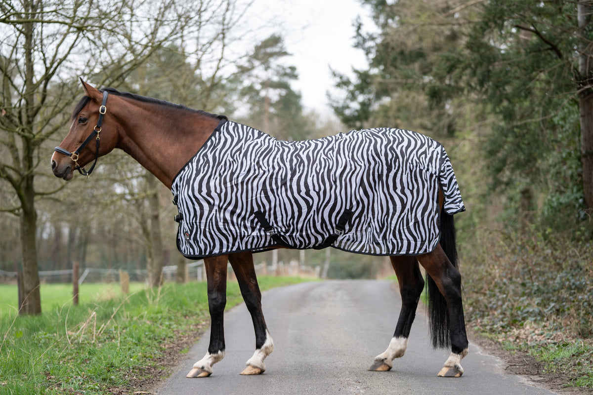 Fliegendecke Zebra – mit Kreuzgurt – Bild 3