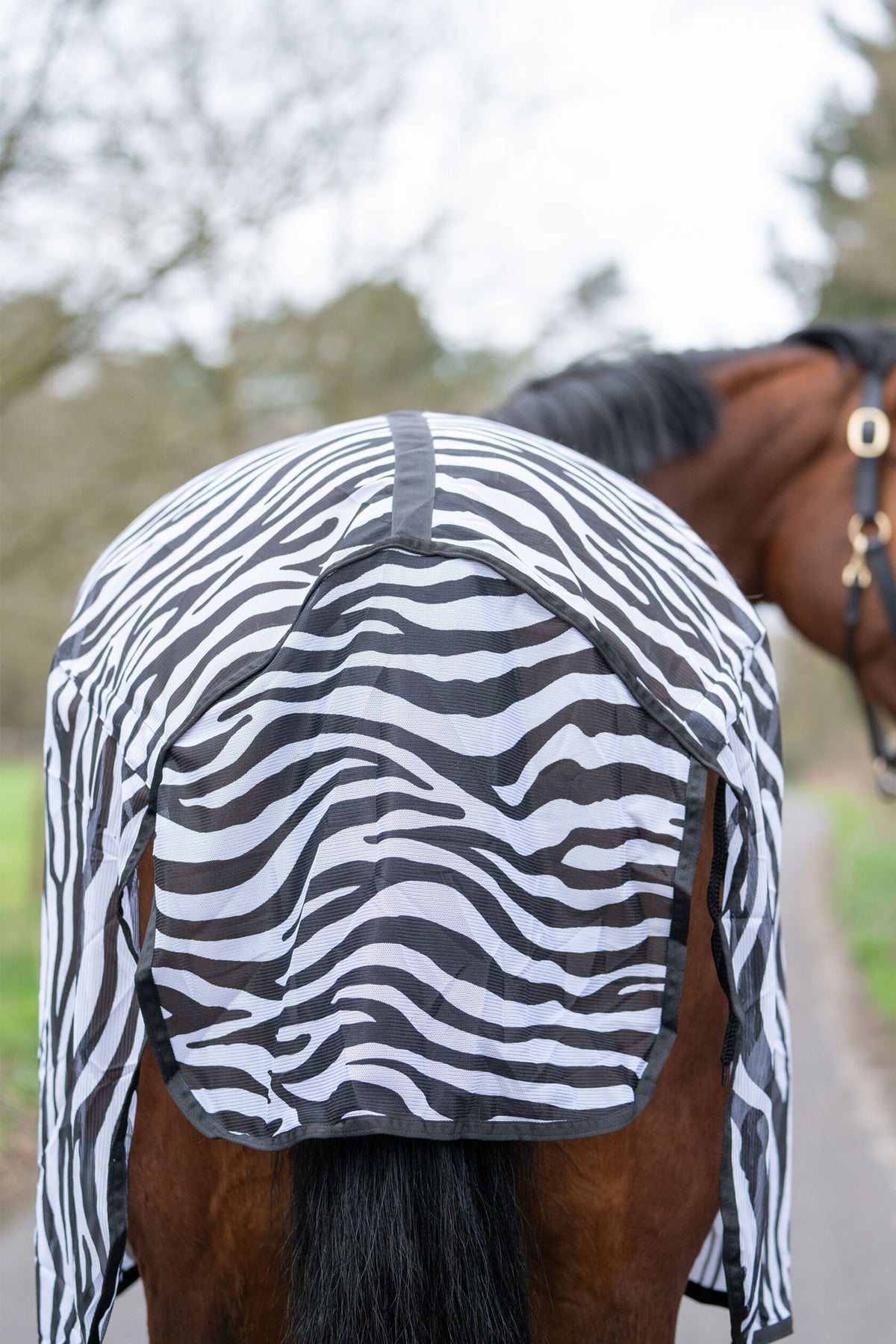 Fliegendecke Zebra – mit Kreuzgurt – Bild 5