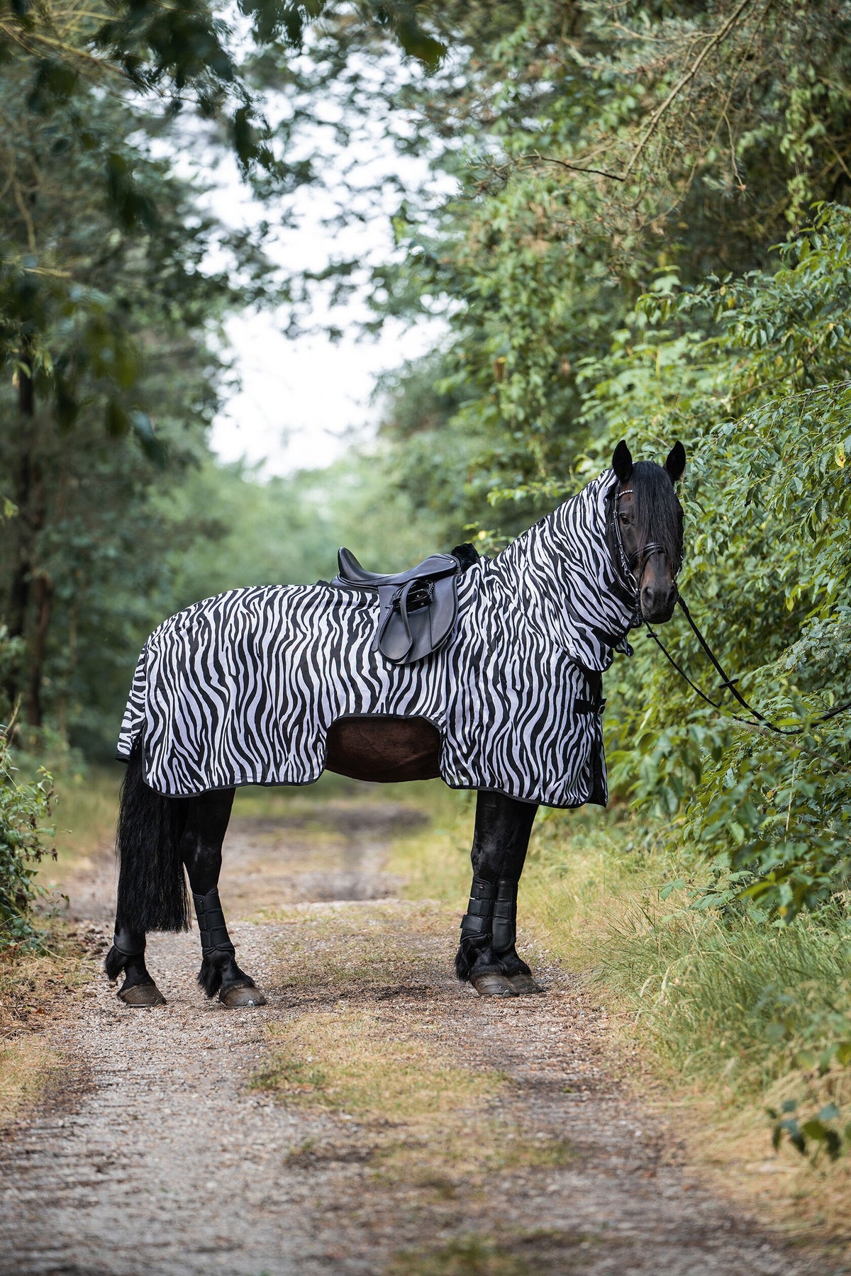 Fliegenausreitdecke Zebra – zum Schutz des Pferdes vor Fliegen und Insekten – Bild 4