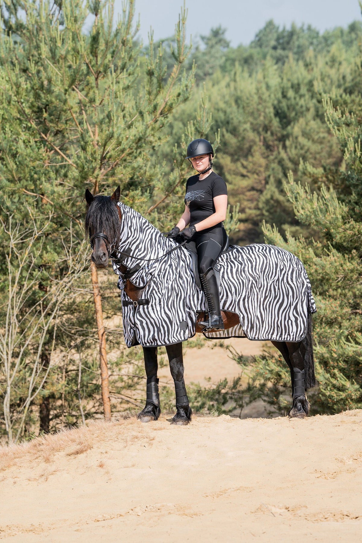 Fliegenausreitdecke Zebra – zum Schutz des Pferdes vor Fliegen und Insekten – Bild 5