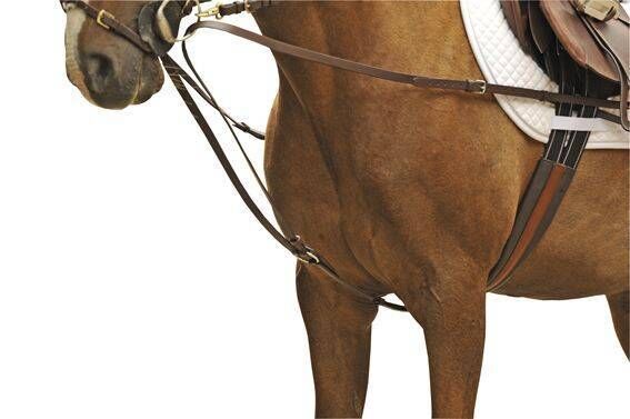 Dreieckszügel mit Edelstahlbeschlägen 6848 – Edelstahlbeschläge – Bild 1