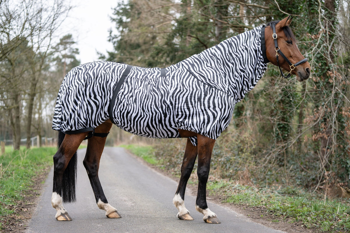 Ekzemer-Decke Zebra – atmungsaktiv – Bild 4