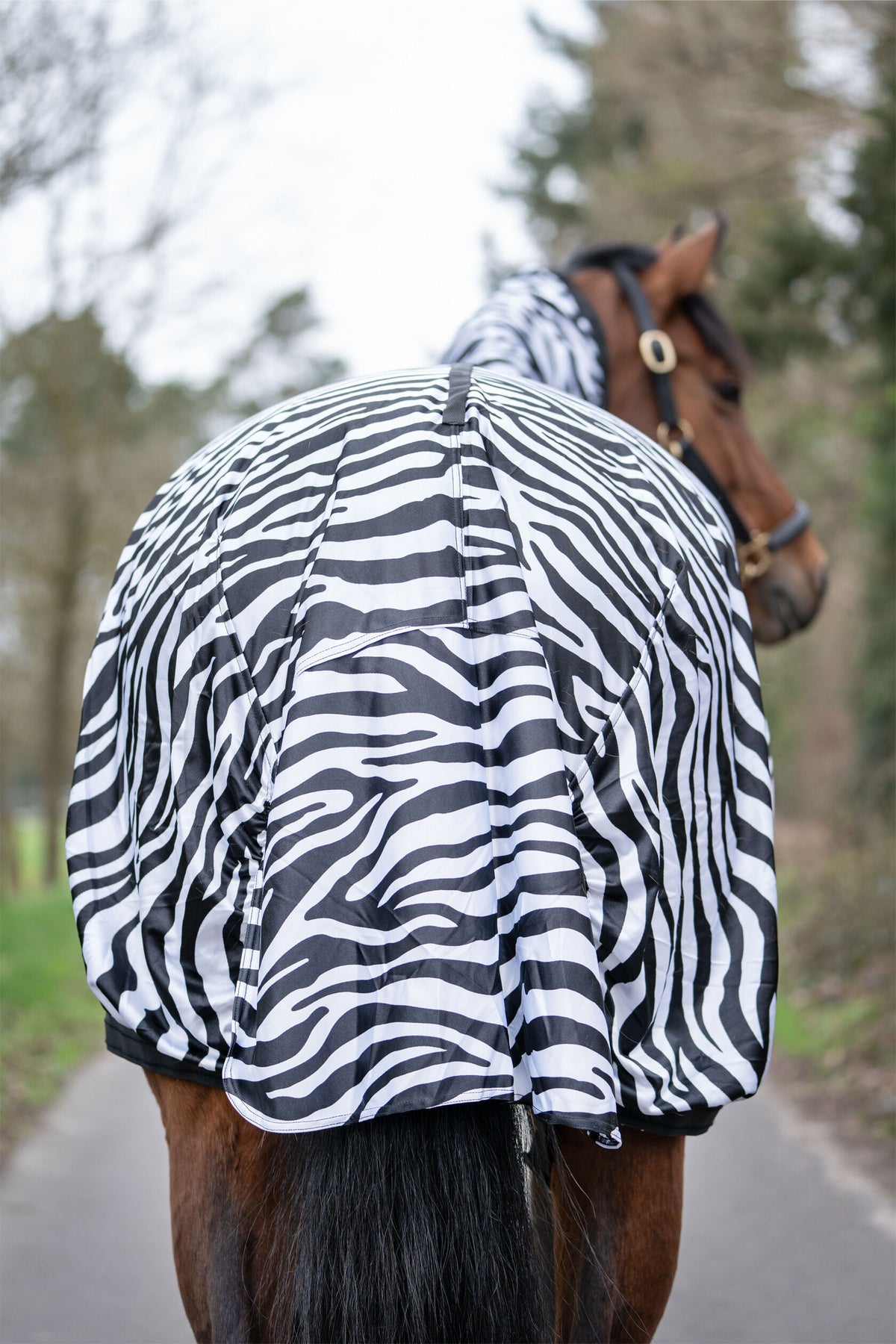 Ekzemer-Decke Zebra – atmungsaktiv – Bild 5