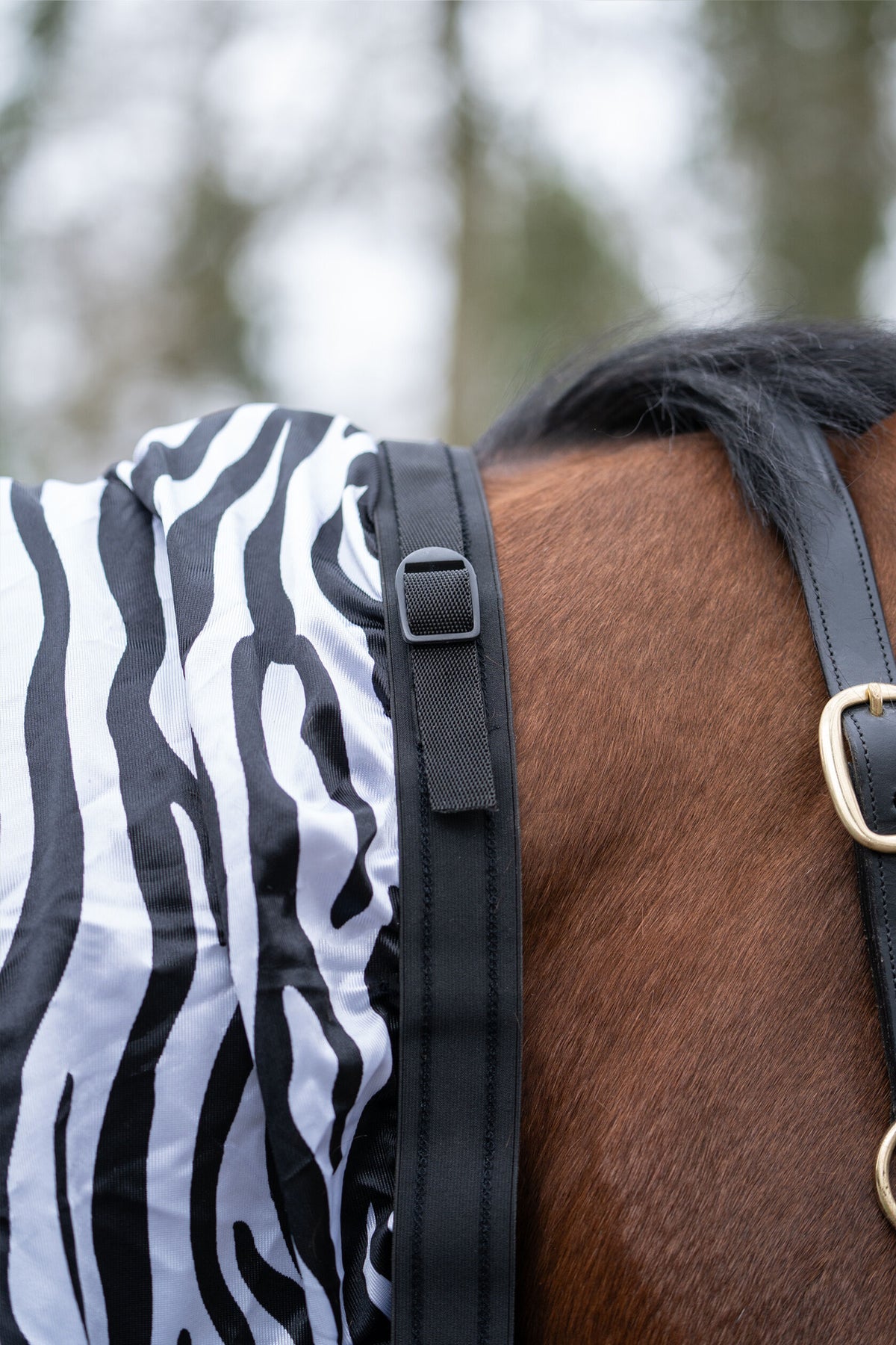 Ekzemer-Decke Zebra – atmungsaktiv – Bild 7