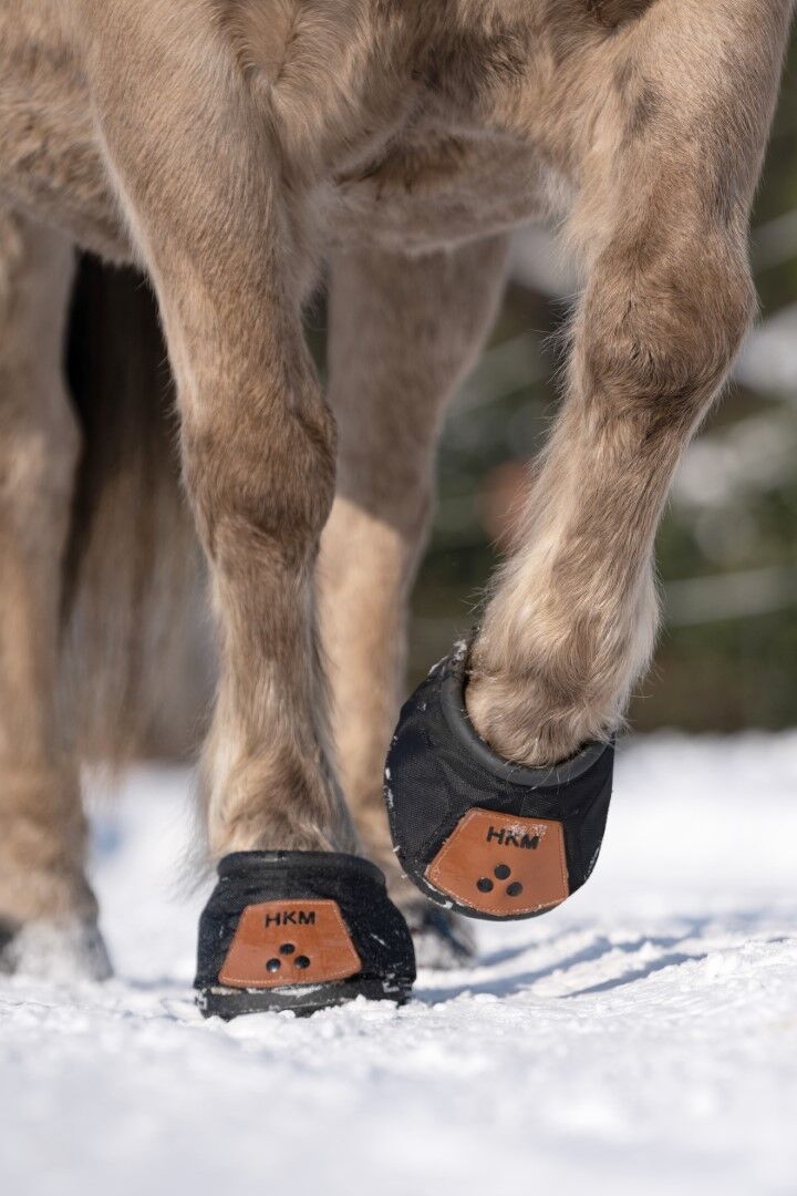 Hufschuh 7955 – doppelter Sicherheits-Klettverschluss – Bild 8