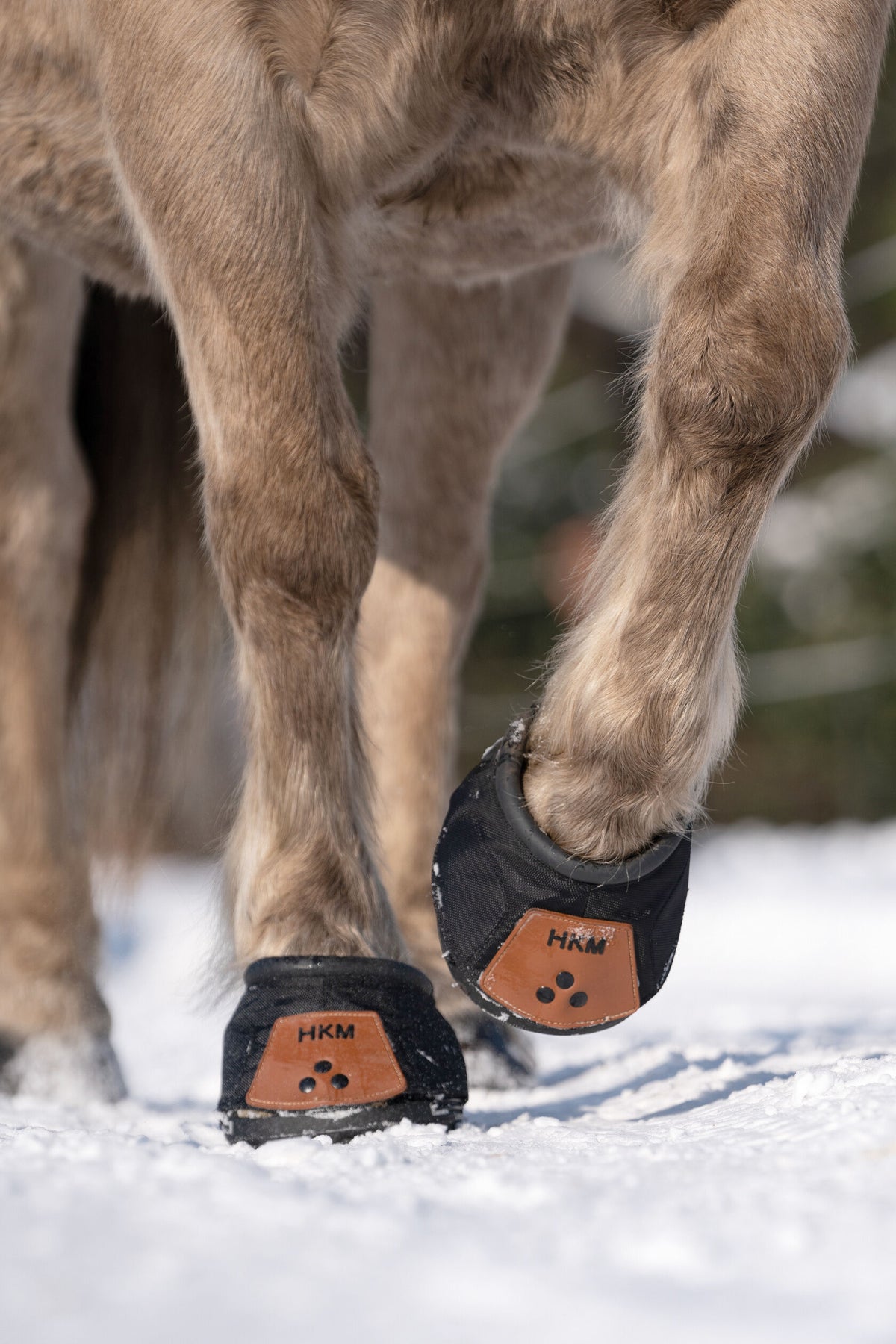Hufschuh 7955 – doppelter Sicherheits-Klettverschluss – Bild 15