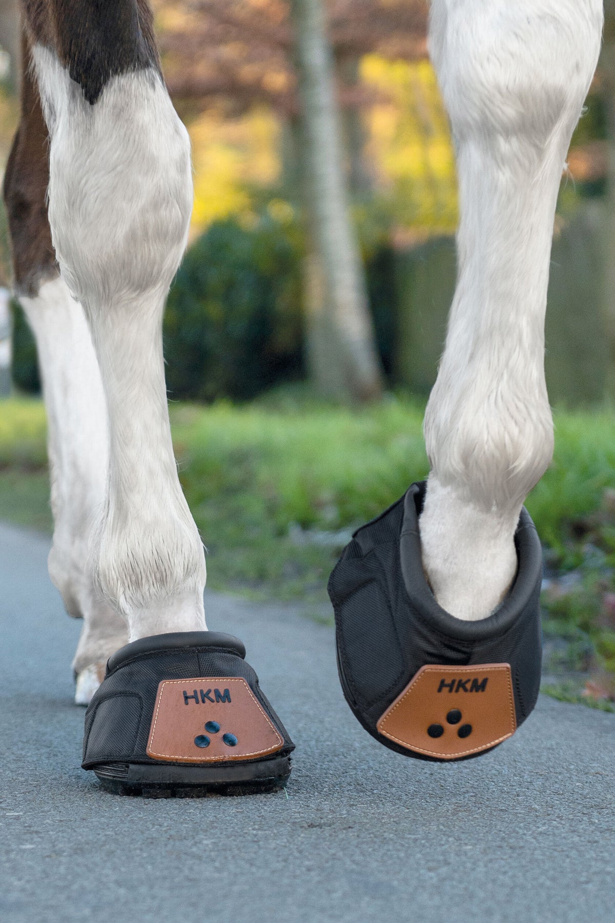 Hufschuh 7955 – doppelter Sicherheits-Klettverschluss – Bild 16