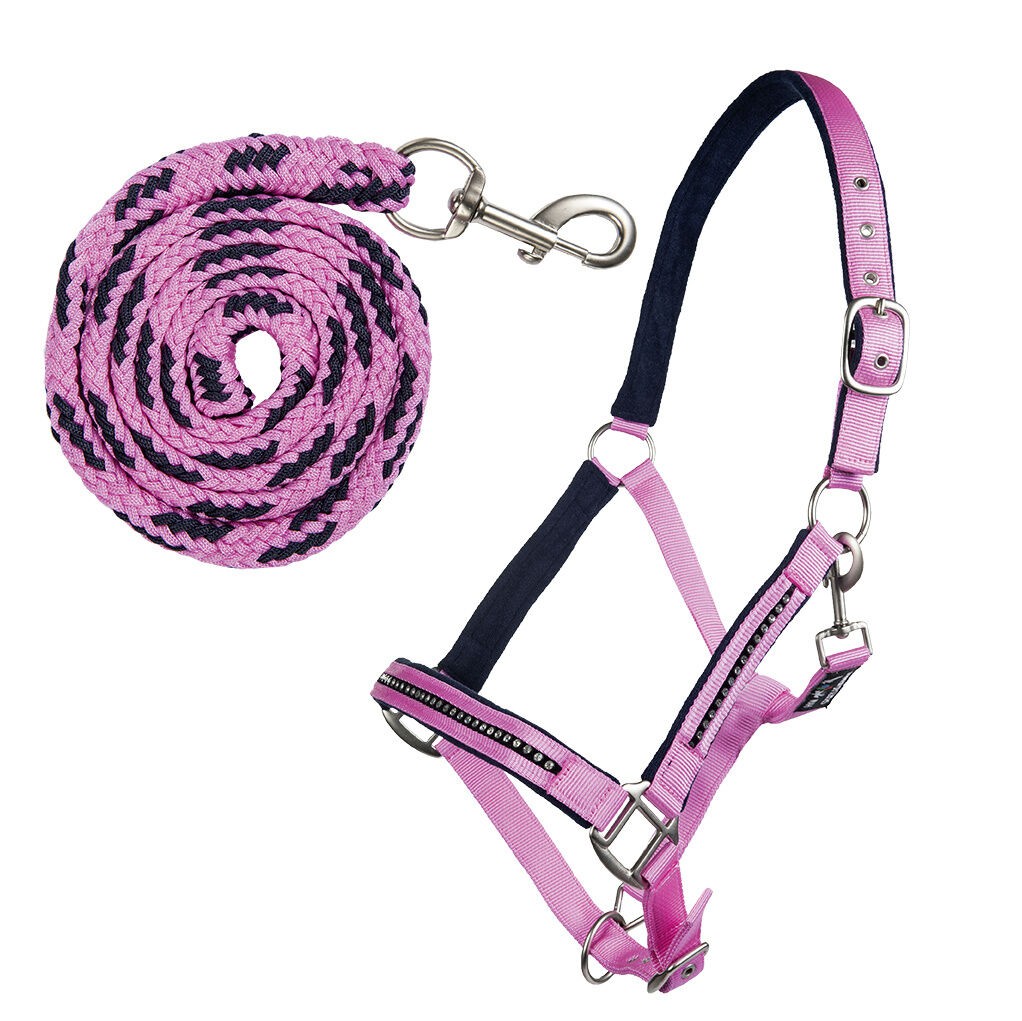 Halfter-Set mit Karabiner Crystal – weich unterlegt – Bild 1