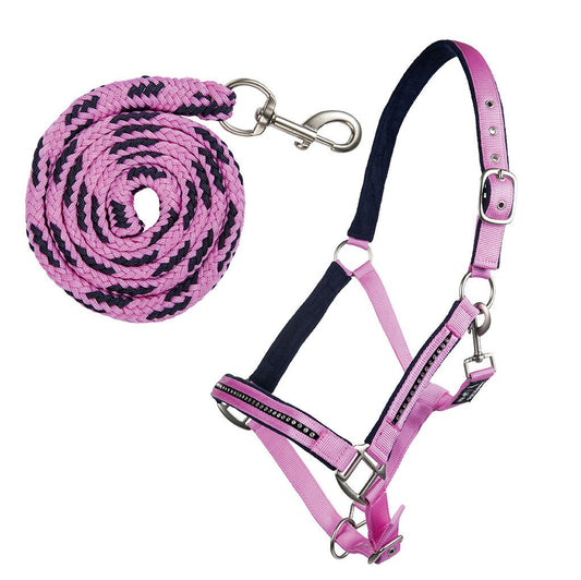 Halfter-Set mit Karabiner Crystal – weich unterlegt – Bild 1