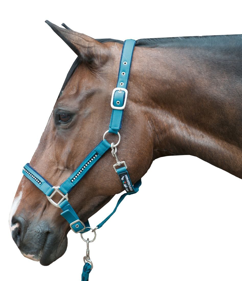 Halfter-Set mit Karabiner Crystal – weich unterlegt – Bild 15