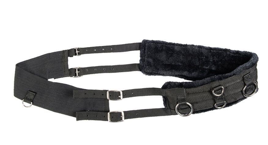 Longiergurt Teddy – für Shetty, Pony und Vollblut/Warmblut – Bild 1