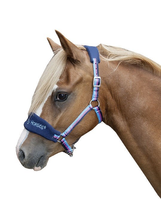 Halfter Funny Horses – Nasen- und Stirnriemen weich unterlegt – Bild 2