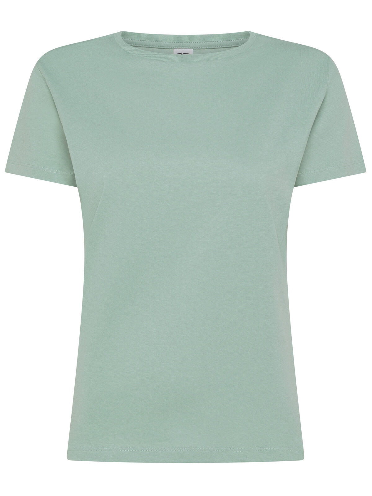 Evolution Women Damen T-Shirt – Black Spider – Farbe sage – individuell veredelbar