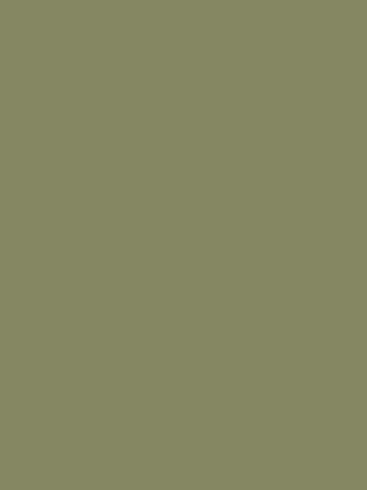 Baby Essential Hoodie Sweatshirt / Hoodie – Babybugz – Farbe soft olive – individuell veredelbar